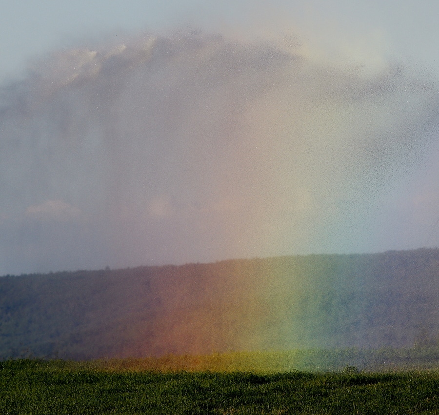 Showers of Infertility