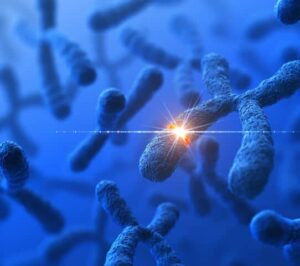 Endometriosis IVF Computer generated image of chromsomes