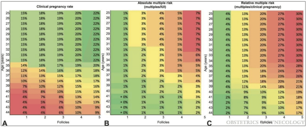 värmekartor för att vägleda kliniska beslut och ge råd till patienter om risker och fördelar för graviditetsutfallet. Klinisk graviditetsfrekvens (a), absolut multipel risk: multiplar per intrauterin insemination (IUI) (B) och relativ multipel risk: multiplar per klinisk graviditet (C). Den röda regionen indikerar låg graviditet framgång eller hög multiplar risk, gul indikerar måttlig graviditet framgång eller multiplar risk, och grön indikerar högsta framgång i att förvärva en graviditet eller lägsta multiplar risk. Follikelnummer längst ner i graferna är 14 mm eller större i storlek. Detta verktyg kan hjälpa till att rådgöra patienten, baserat på hennes ålder och antal folliklar närvarande, vad hennes totala kliniska graviditetsfrekvens är, absolut multipel risk (multiplar/IUI) och, om hon blev gravid, vad hennes risk för multiplar skulle vara (relativ risk). * Procentandelarna avrundas till närmaste heltal och representerar genomsnittliga resultat från studien. 95% CIs av den faktiska risken visas inte.Evans. Intrauterin Insemination, patientålder och multipel Risk. Obstet Gynecol 2020.