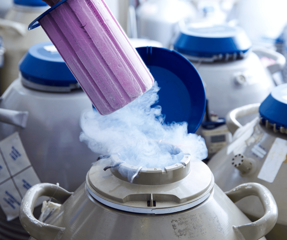 liquid nitrogen tank used for cryopreserving human embryos from IVF