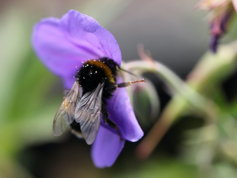 sandy-millar-SmK8is9viYo-unsplash