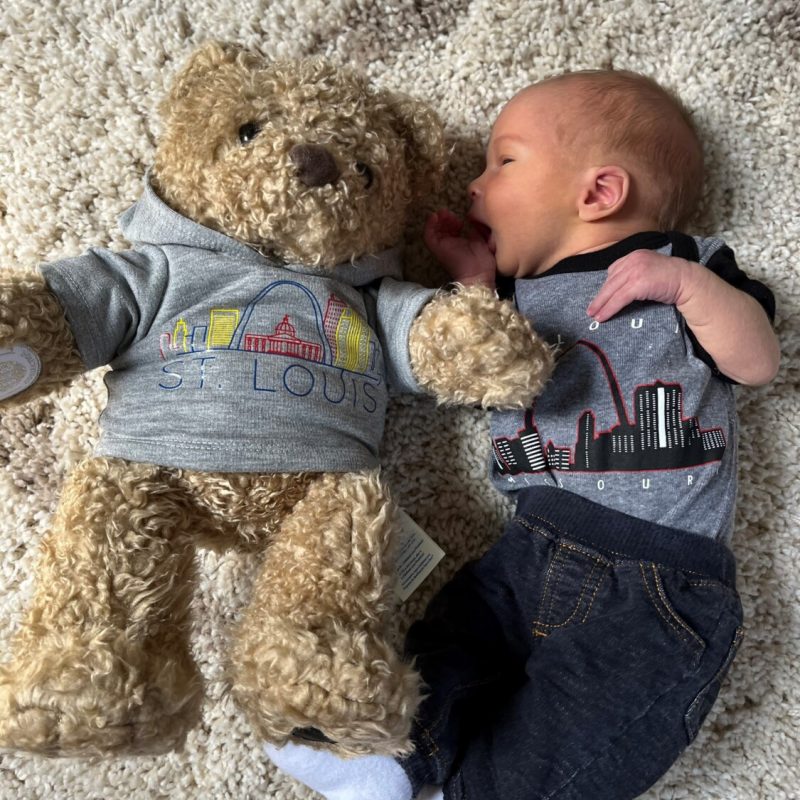 st louis teddy bear with baby
